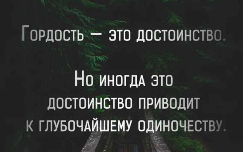 В смысле не приведет. Цитаты про гордость. Гордость цитаты афоризмы. Афоризмы про гордость. Гордые цитаты.