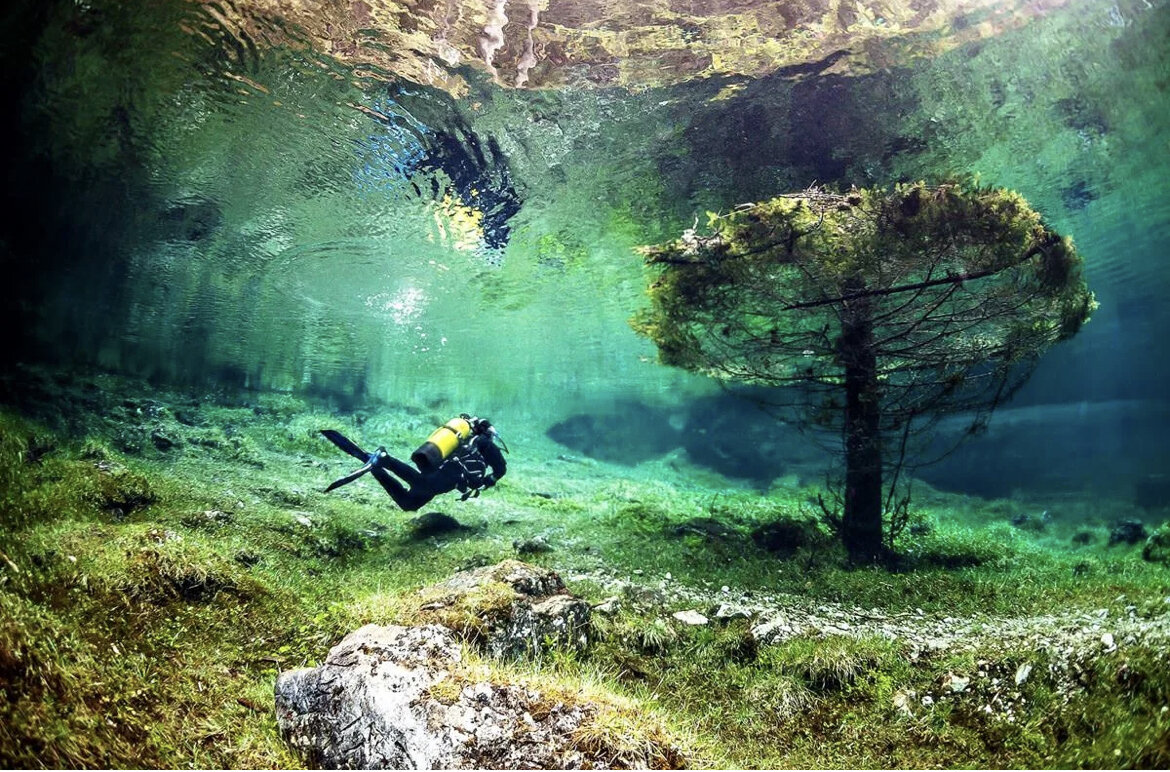 Источник Яндекс.Картинки