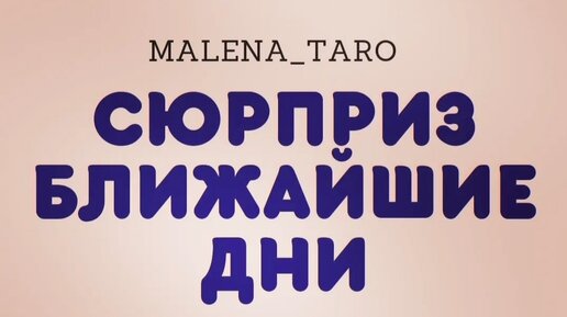 Малена таро