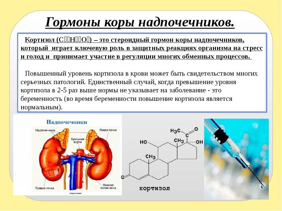 Гормоны надпочечников презентация