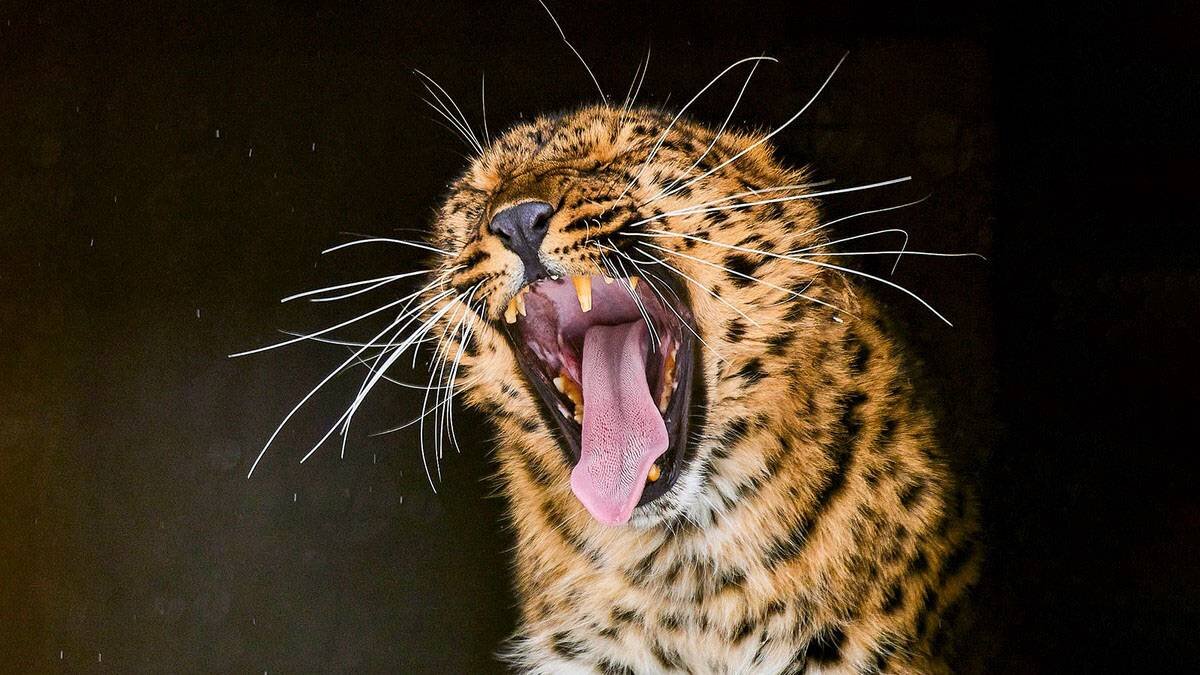    Фото: mos.ru / Максим Денисов
