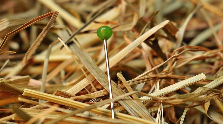 Фото: по лицензии PxHere