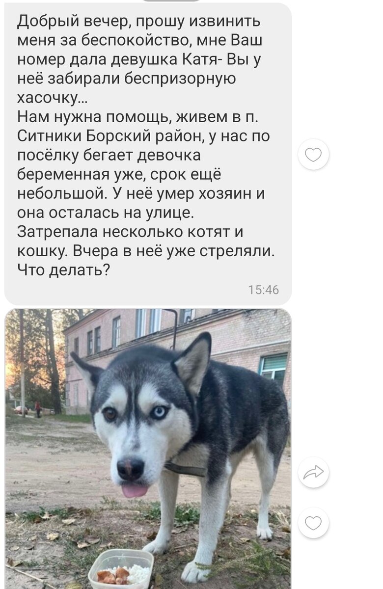 Так я узнала о Черничке