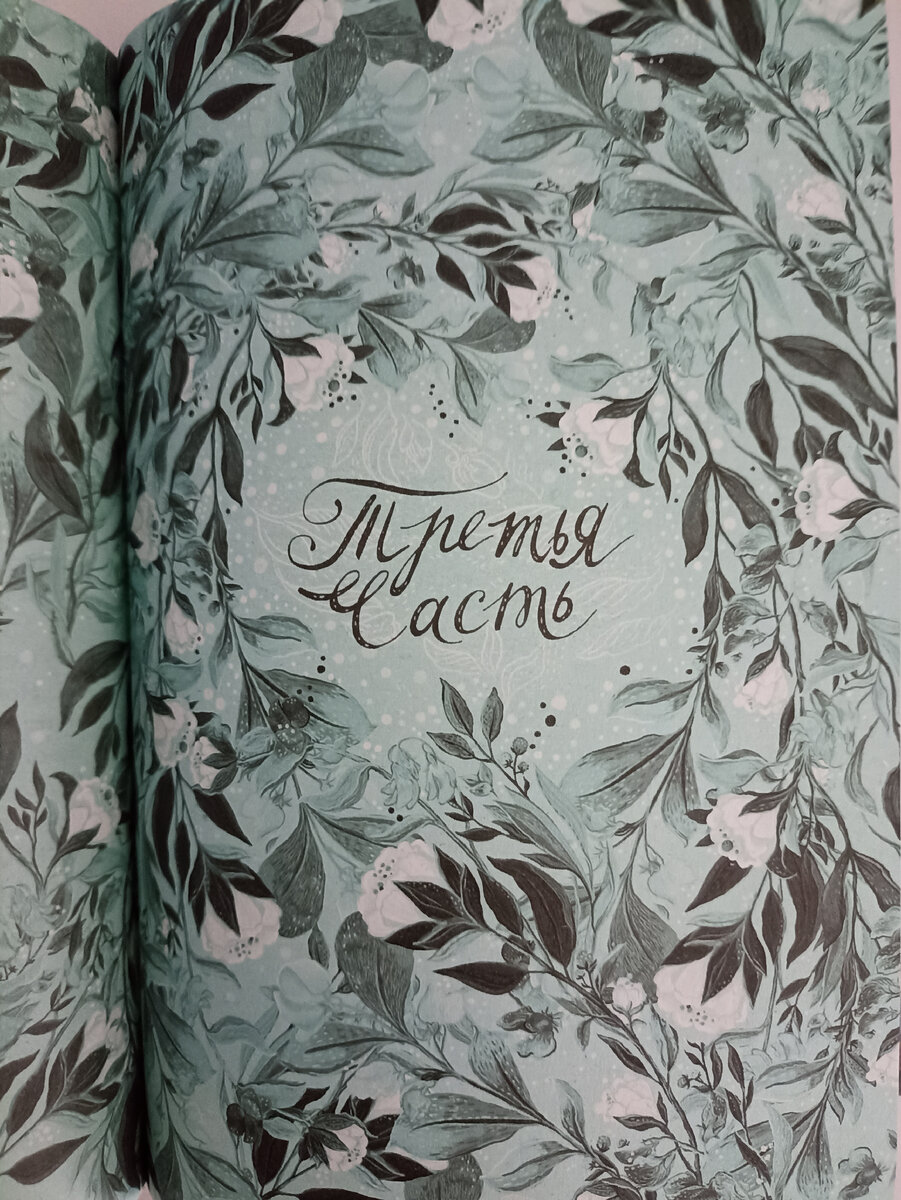 В книге действительно нет никаких иллюстраций, кроме как красивейших разделителей глав