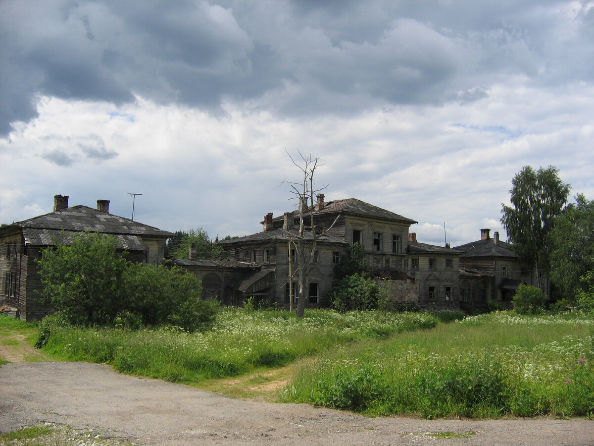 Последний новгородский предводитель дворянства Михаил Николаевич Буткевич |  Ижица | Дзен