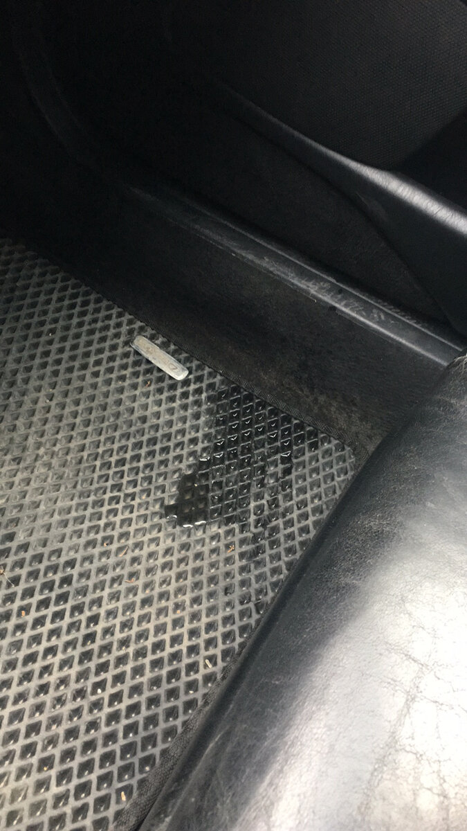 А это уже после ночного дождя