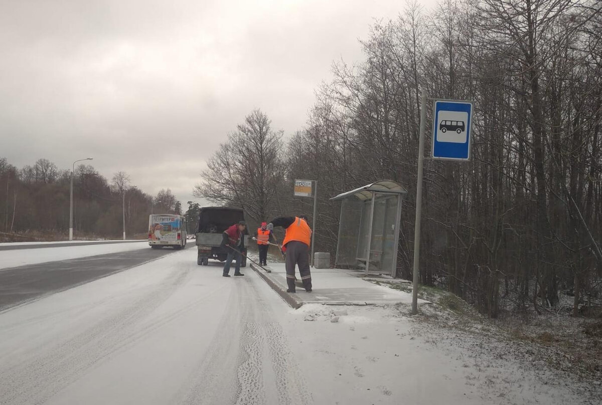   
 Фото: Комитет по благоустройству Петербурга