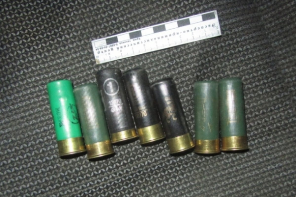    В Новосибирской области браконьера нашли по следам автомобиля