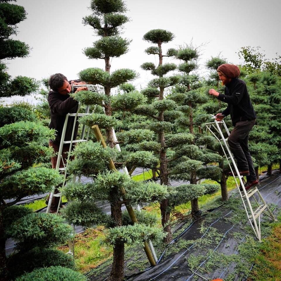 Фото из сети Интернет