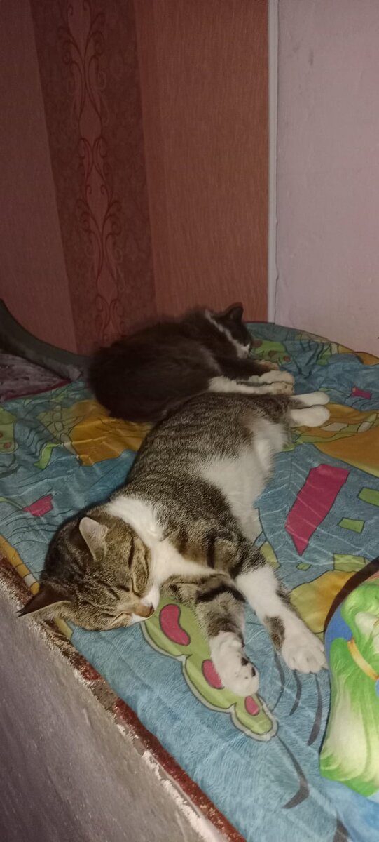 Отогреваются 🔥💓