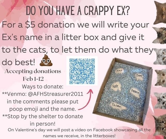     Фото: animalfriendshs.org