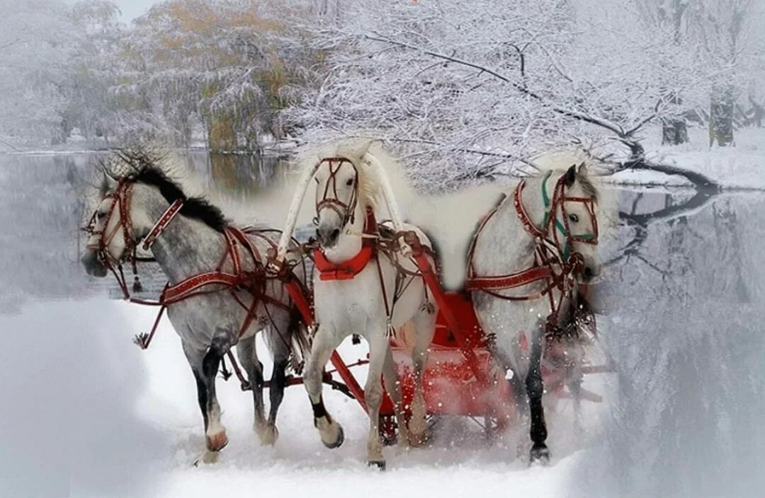 https://avatars.dzeninfra.ru/get-zen_doc/3446567/pub_5fde1d7327ce98245a7b12d5_5fde1d95f5a6f429fc3fdff5/scale_1200