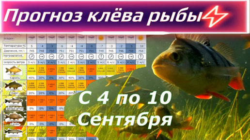 Клев в моздоке. Прогноз клева рыбы Усть-Каменогорске. Прогноз клёва рыбы в Брянске. Прогноз клёва рыбы в Тольятти на 5 дней.