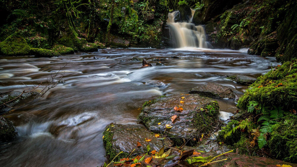 Отправляясь на фотоохоту, не заблудись!
