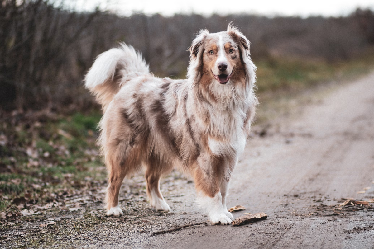 Источник: https://unsplash.com/photos/F6fM4Yay0mY?utm_source=unsplash&utm_medium=referral&utm_content=creditShareLink 