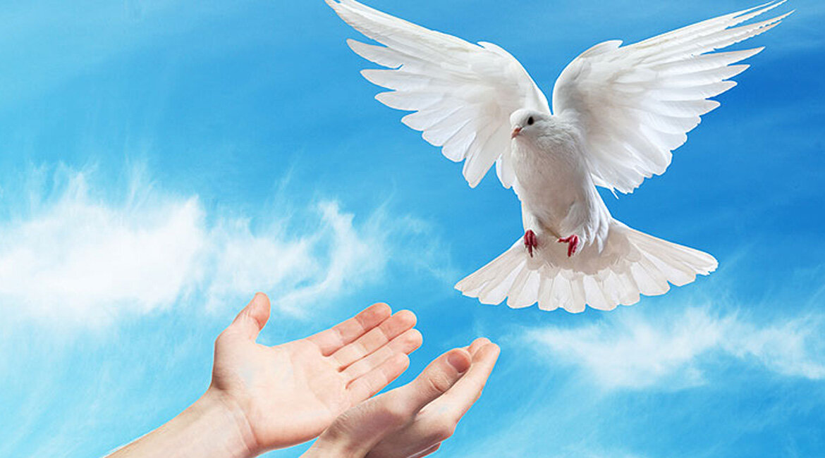 Источник: Яндекс. Картинки