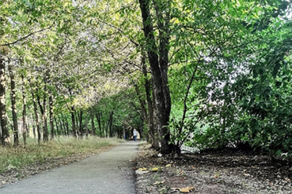    В Оренбурге создадут новый парк в СВЖР
