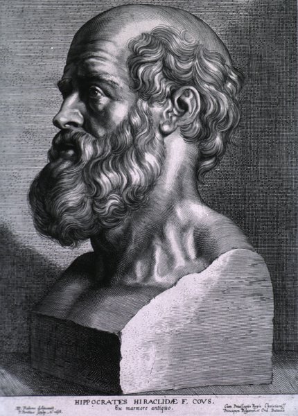 Бюст Гиппократа, Питер Пауль Рубенс, 1638