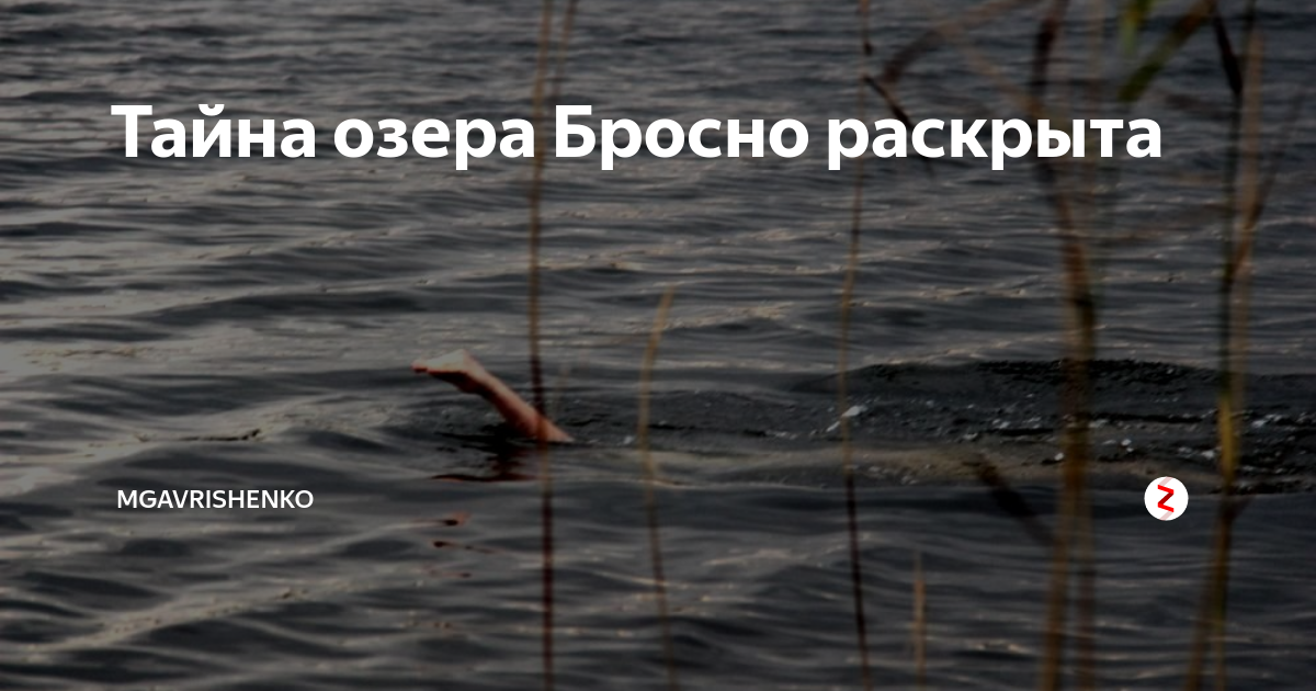 Дракон Бросно- злобный русский брат Лох-Несского чудовища? Легенды и мифы Дзен