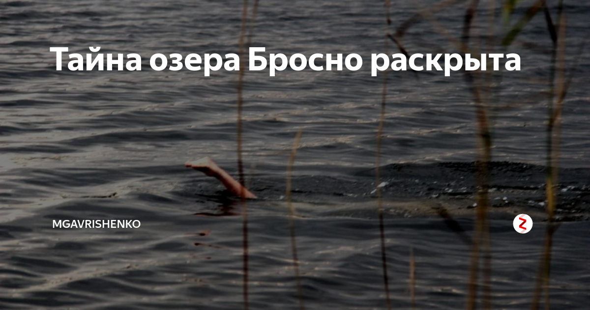 Самый опасный водоем в России: почему в озеро Бросно нельзя бросать