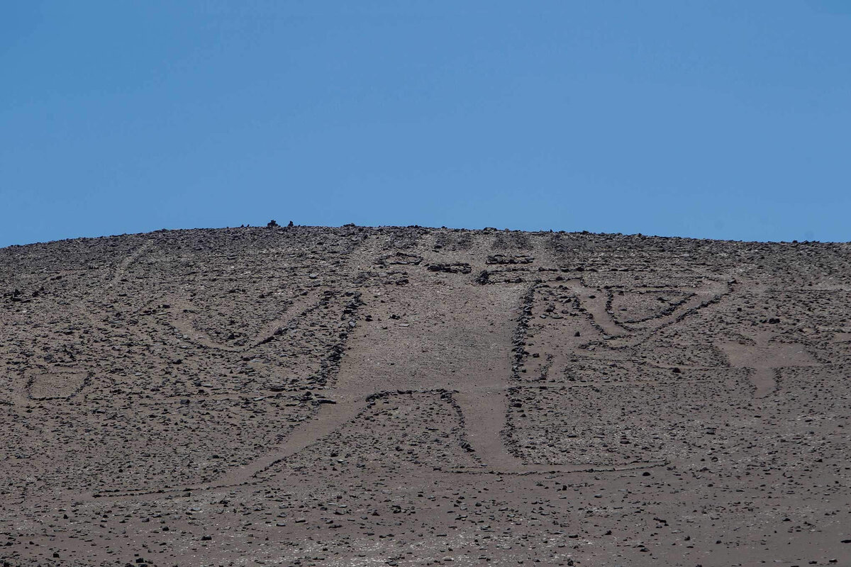 Гигант из пустыни Атакама