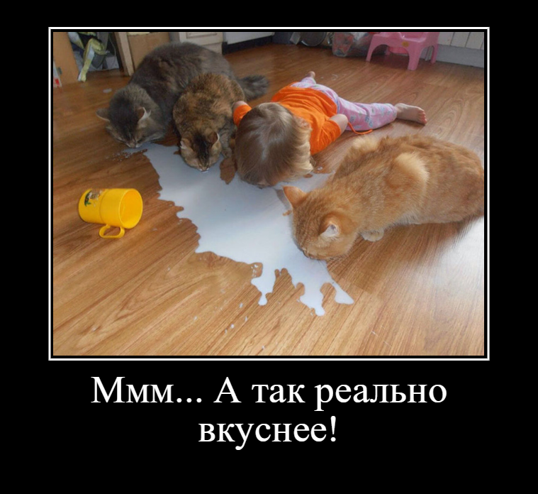 Я плакал сайт хорошего. Смешные котики для детей. Дети и кошки смешное. Приколы с котами для детей. Забавные дети и коты едят