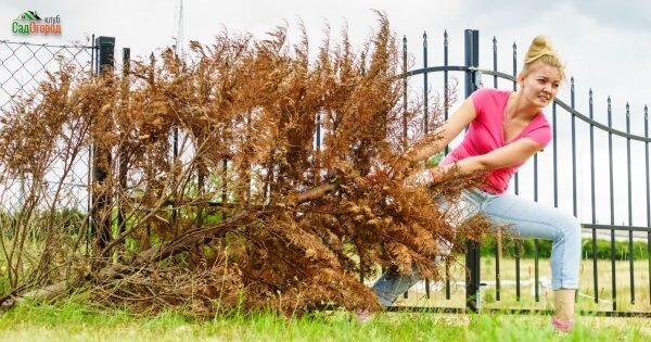 фото: depositphotos.com