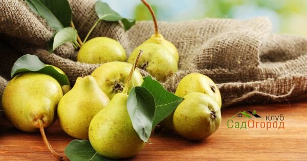 фото: depositphotos.com