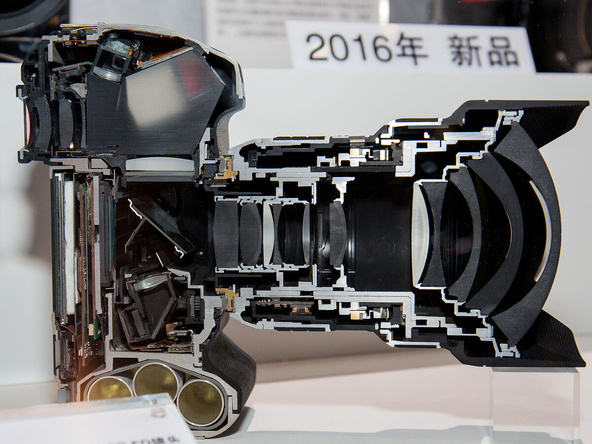 Nikon D5 с объективом AF-S Nikkor 14-24mm f/2.8G ED в разрезе (Источник - Википедия)