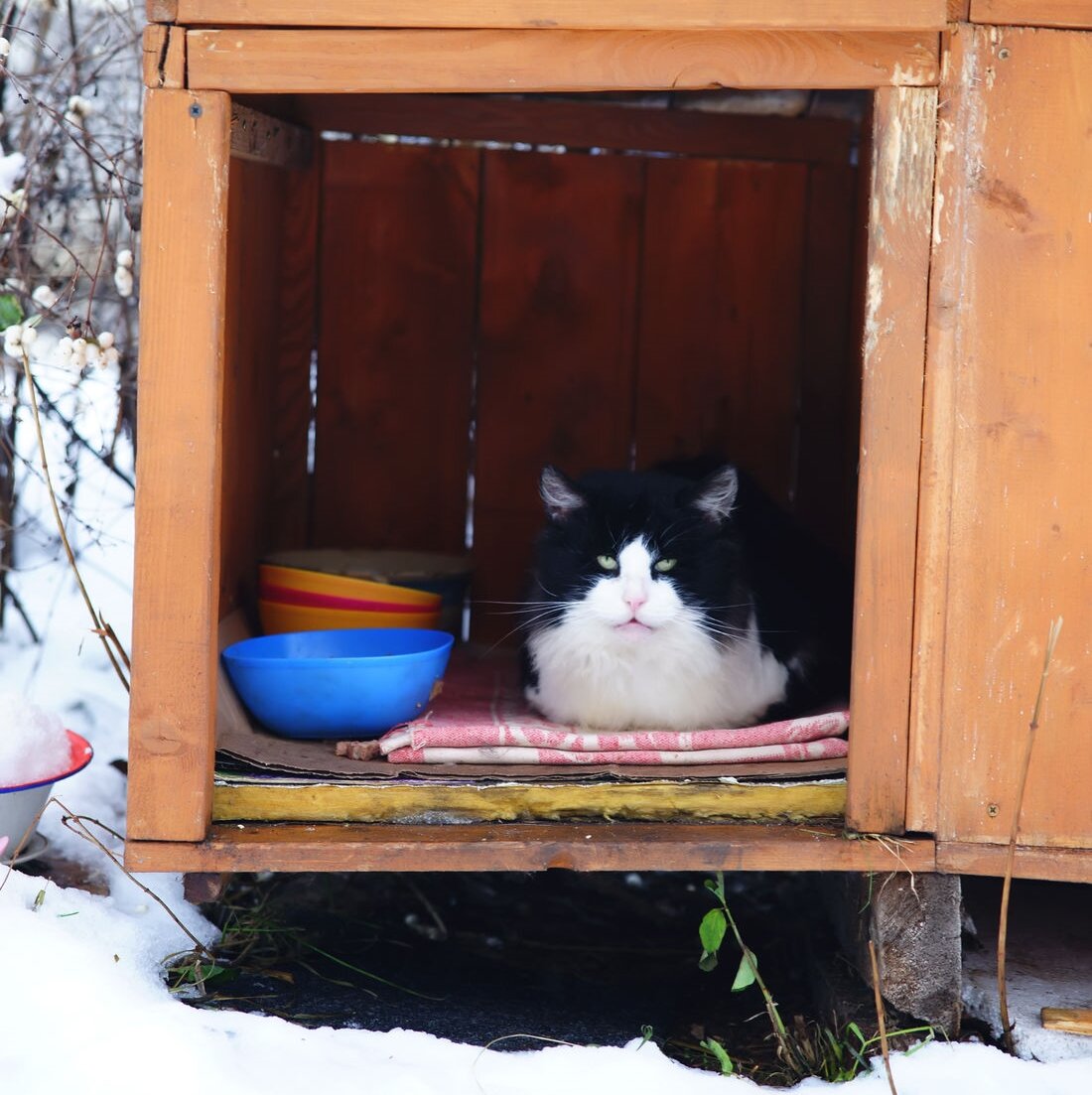 Фото: портал Рижской думы