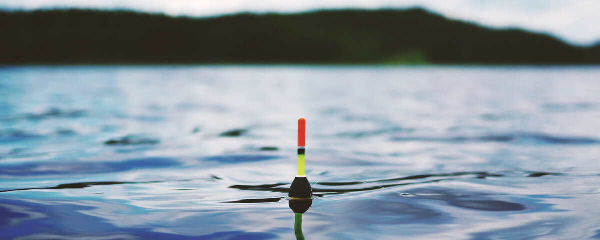 Картинка из сети