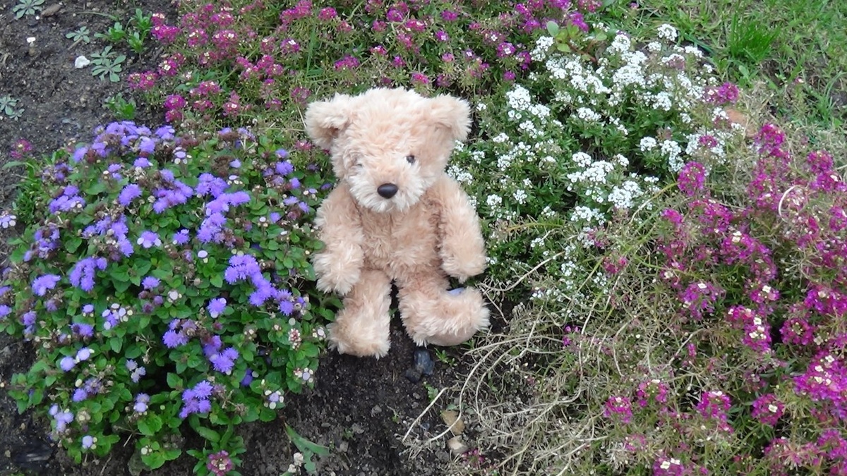 Автор фото: Максим Вишневский