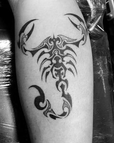 Татуировка скорпиона Изображения – скачать бесплатно на Freepik