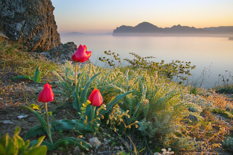 Весенний Крым