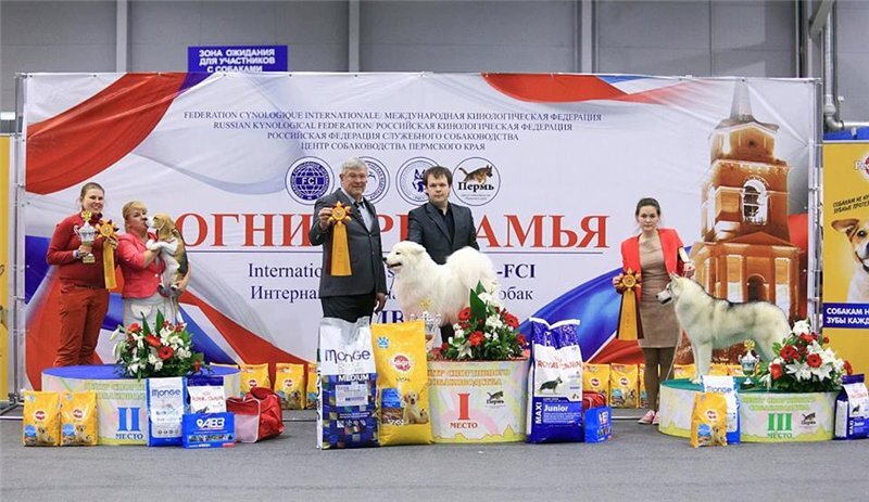 Очень неплохой призовой фонд, обычно - гораздо "беднее". Источник фото: radikal.ru