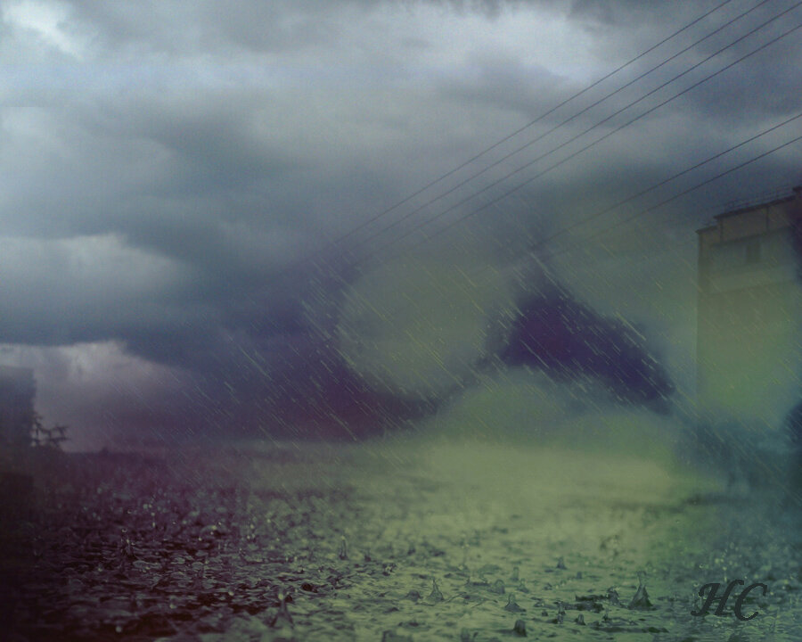 Коллаж Нины Стрелковой.