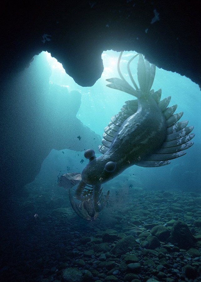 Подпишись на канал и поставь лайк! Ты поможешь развитию канала! Заранее спасибо!