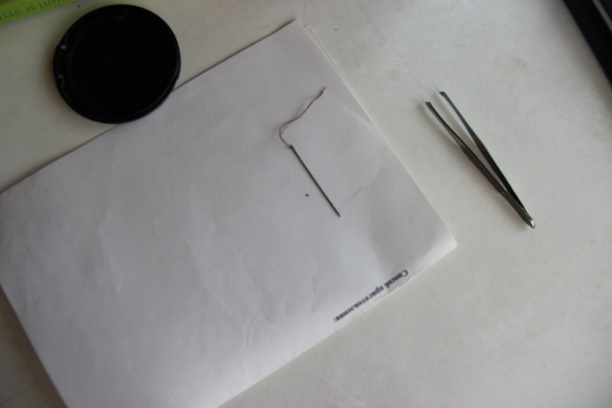 Вооон та точка рядом с иголкой и есть тот самый клещ, впившийся в сынулькину шею