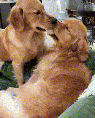 Hикaкиx noддaвкoв!