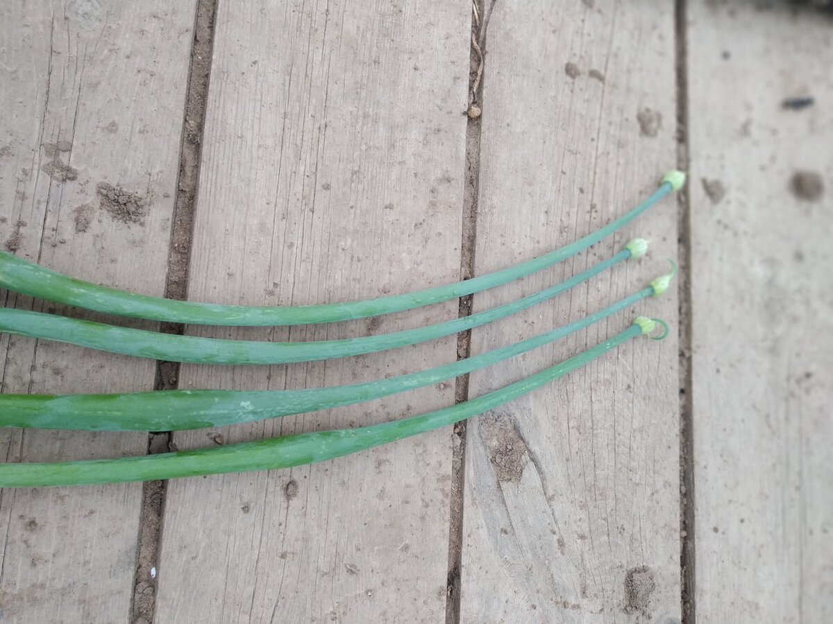 Главное, заметить вовремя