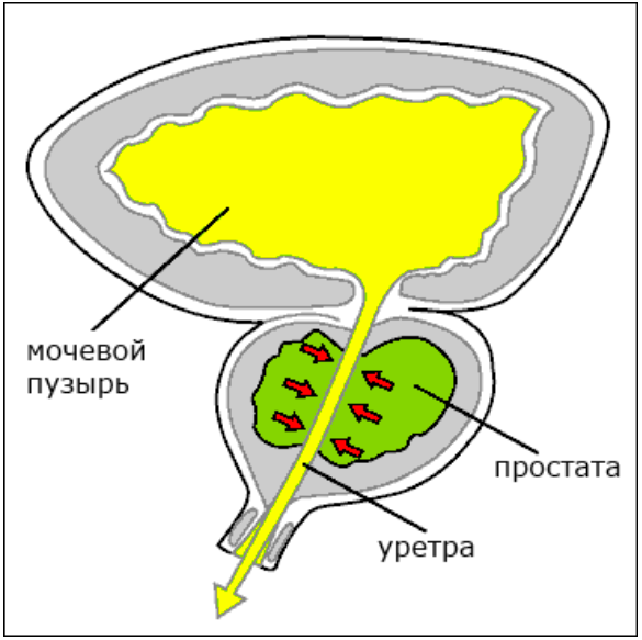 Фото из открытых источников www.yandex.ru