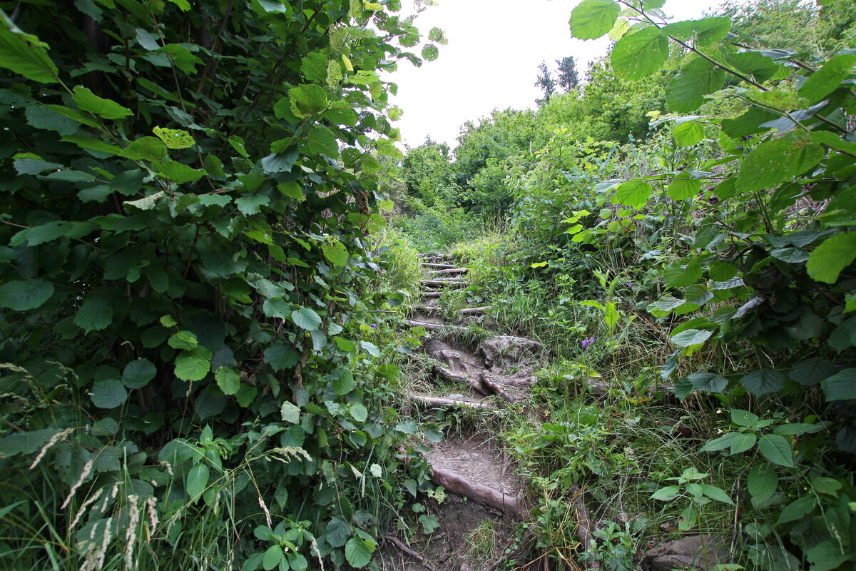 Ступеньки к замку