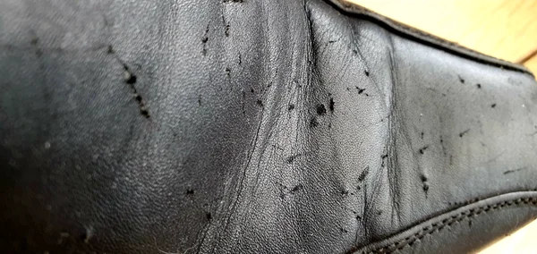 "Бывшие" кожаные туфли...