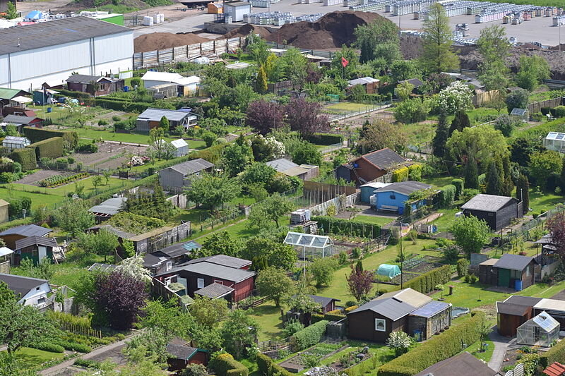 Фото взято с сайта gartenweb.de.