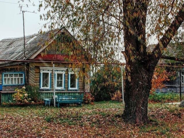 Фото яндекс.