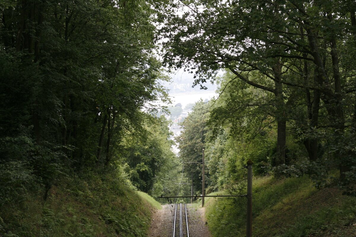 by Kurilenko Ekaterina (Deutschland)