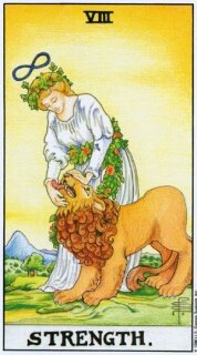 VIII. Сила

