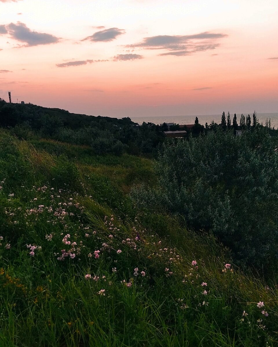 немножко приморских красот! фото автора