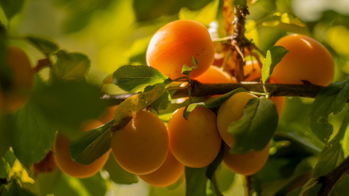 Фото: Elena Mozhvilo/Unsplash