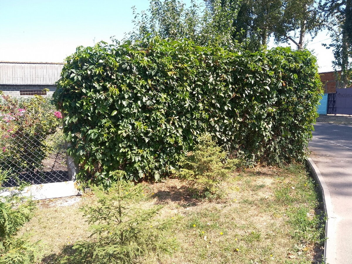 С другой стороны домовладения